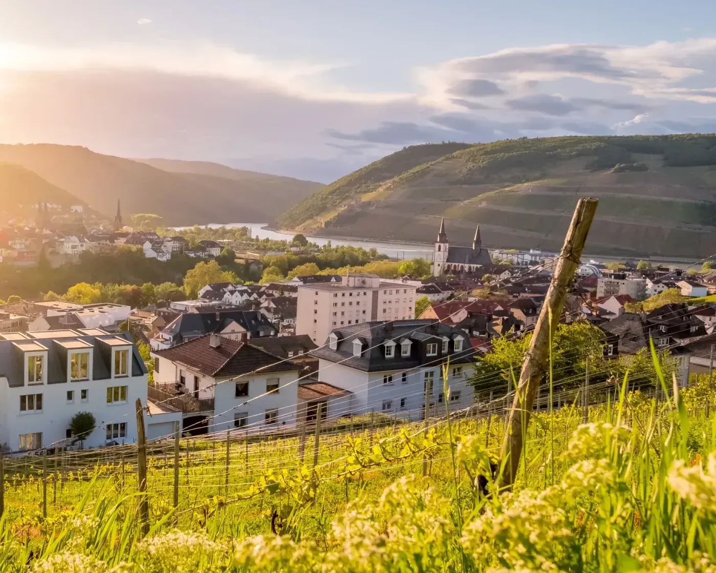 Hausmeisterservice in Bingen am Rhein-Nahe-Eck