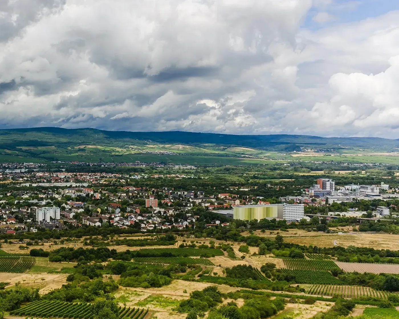 Hausmeisterservice in Ingelheim am Rhein